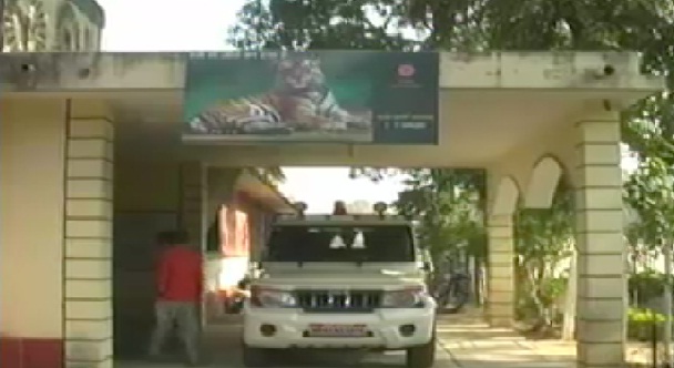 जंगल का सफाया करने में जुटा वन माफिया