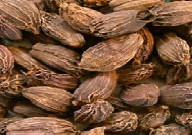 कई बीमारियों से छुटकारा दिलाती है बड़ी इलायची