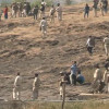 पुलिस और राजस्व दल पर शराब माफिया ने किया हमला
