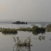 15 सदस्य हाथियों का दल लौटा महासमुंद इलाके की ओर, घायल नन्हे हाथी को भेजा गया ट्रेनिंग सेंटर