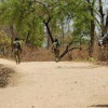 मुठभेड़ में मारी गई महिला नक्सली,पुलिस के हाथ लगा भारी मात्रा में नक्सल साहित्य