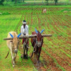 नया बरस में गढ़बो नवा छत्तीसगढ़