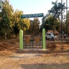 पन्ना टाइगर रिजर्व छोड़कर बाहर निकल रहे बाघ, प्रबंधन बता रहा सामान्य प्रक्रिया