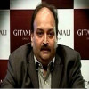पीएनबी घोटाले के आरोपी मेहुल चोकसी ने छोड़ी भारतीय नागरिकता, प्रत्यर्पण से बचने की कोशिश