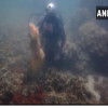 स्कूबा डाइविंग प्रशिक्षित अधिकारियों की नई पहल, मन्नार की खाड़ी से प्लास्टिक,कचरे निकालने कूद पड़े समुद्र में,देखें वीडियो