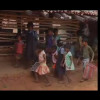 IBC24 की खबर का असर,गौशाला में पाठशाला को कलेक्टर ने लिया संज्ञान,अतिरिक्त कक्ष बनाने की स्वीकृति