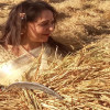 खेतों में मजदूरों के साथ गेहूं काटने पहुंचीं हेमा मालिनी, सोशल मीडिया पर ट्रोलर्स ने किया टारगेट