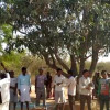 स्थानीय समस्याओं को लेकर ग्रामीणों ने चुनाव का बहिष्कार करने का किया ऐलान