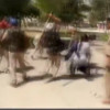 आईटीआई छात्र की मौत के बाद विरोध प्रदर्शन कर रहे छात्रों पर लाठीचार्ज, देखिए वीडियो