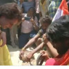 चुनावी रंग में प्रियंका का दिखा एक अलग ही रूप, सांप को पुचकार कर मांगा वोट, देखिए वीडियो