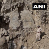 हिमाचल प्रदेश में मिला 2 करोड़ साल पुराना जीवाश्म, भूगर्भ विज्ञानियों  जुटे रिसर्च में