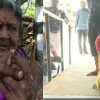 दिव्यांग और उम्रदराज लोगों में भी जमकर उत्साह, उधर नेताओं ने भी किया मतदान.. देखिए