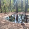 जंगल में बनाई पानी की टंकियां, टेंकर के माध्यम से भरने का किया गया इंतजाम, वन विभाग ने किए आग से निपटने के भी उपाय