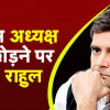 इस्तीफे पर अड़े राहुल, गांधी परिवार से अलग रिप्लेसमेंट ढूंढने की मांग, आम कार्यकर्ता की तरह करेंगे काम