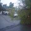 पेड़ के साथ स्कूल बिल्डिंग पर गिरा बिजली का खंबा, करंट की चपेट में आने से 11 छात्र घायल