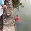 तालाब में गिरी कार, 8 लोगों की डूबने से मौत,सीएम ने ट्वीट कर जताया दुख