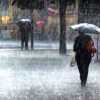 राजधानी समेत छत्तीसगढ़ के कई इलाकों झमाझम बारिश, मौसम विभाग ने आगामी 24 घंटों के लिए जारी किया अलर्ट