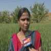 महिला किसान ने गढ़े सफलता के नए कीर्तिमान, पीएम मोदी के हाथों मिला कृषि कर्मण अवार्ड