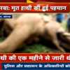 कोरबा में मृत हाथी की पहचान गणेश के रूप में हुई, डीएफओ ने की पुष्टि