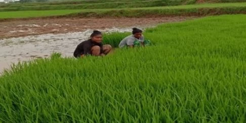 राष्ट्रीय खिलाड़ी नेहा कुजूर की आर्थिक मदद, केंद्रीय मंत्री रेणुका सिंह ने गिरवी जमीन छुड़ाने के लिए दी राशि