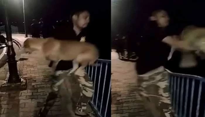सलमान के खिलाफ पशु क्रूरता अधिनियम के तहत मामला दर्ज, कुत्ते को फेंका था तालाब में