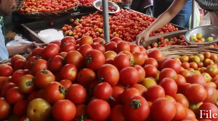 Farmer's 400 kg tomatoes stolen