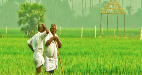 सरकार के इस फैसले के बाद किसानों को होगा 2.5 लाख रुपए का फायदा, जीरो प्रतिशत ब्याज पर मिलेगा लोन